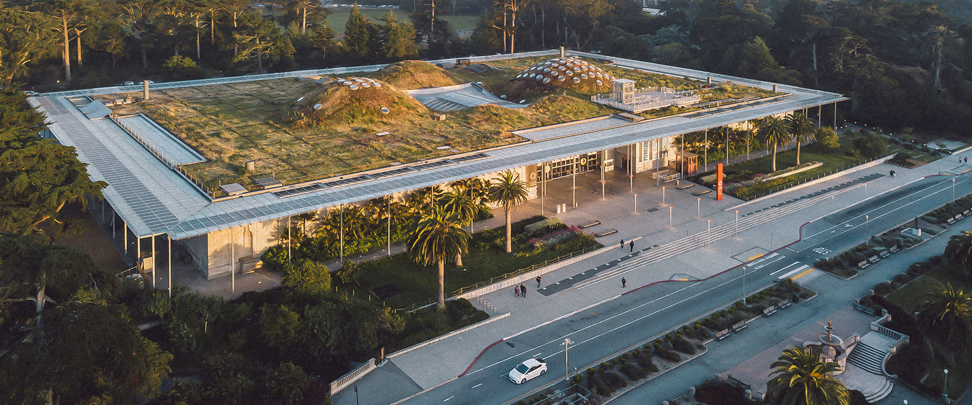 California Academy Of Sciences Promo Code 2024 Saba Morissa